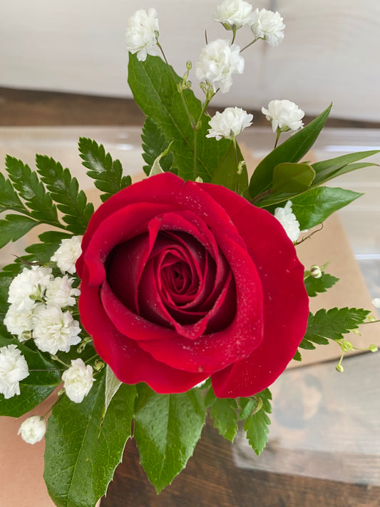 Boutonnierre (Single Rose)